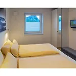 Deichschaf