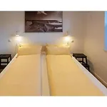 Deichschaf
